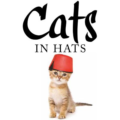 Cats in Hats - Scratching, Kat