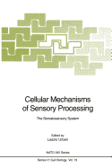 Cellular Mechanisms of Sensory Processing: The Somatosensory System