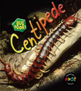 Centipede