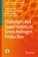 Challenges and Opportunities in Green Hydrogen Production