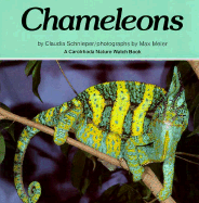 Chameleons - Schnieper, Claudia, and Meier, Max (Photographer)