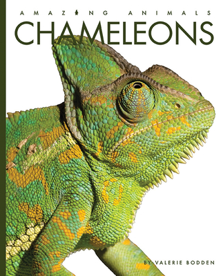Chameleons - Bodden, Valerie