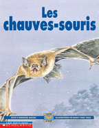 Chauves-Souris