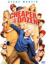 Cheaper by the Dozen - Shawn Levy