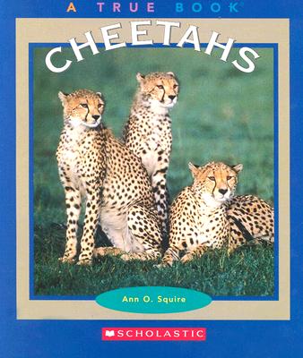 Cheetahs - Squire, Ann O