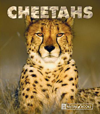 Cheetahs - Markert, Jenny