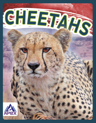 Cheetahs - Geister-Jones, Sophie