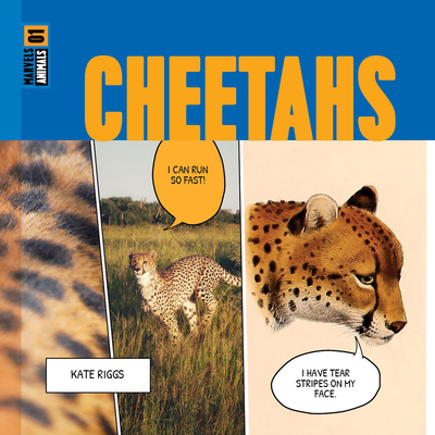 Cheetahs - Riggs, Kate