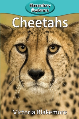 Cheetahs - Blakemore, Victoria