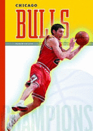 Chicago Bulls - Frisch, Aaron