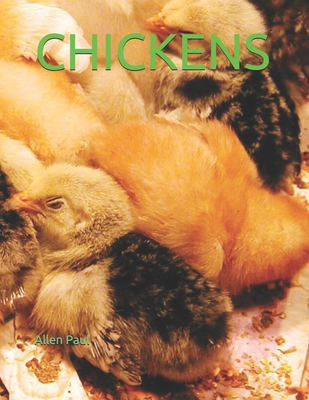 Chickens - Paul, Allen