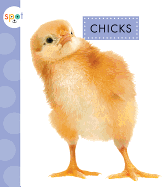 Chicks