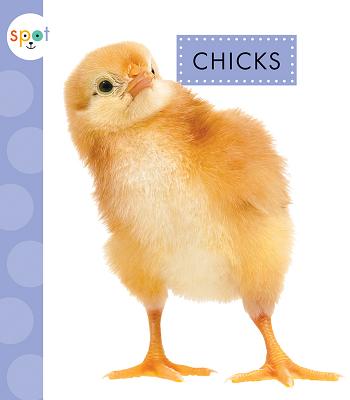 Chicks - Suen, Anastasia