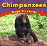 Chimpanzees: Living in Communities