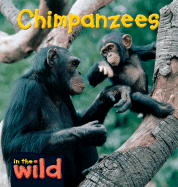 Chimpanzees - Kendell, Patricia