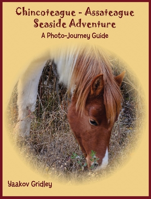 Chincoteague-Assateague Seaside Adventure: A Photo-Journey Guide - Gridley, Yaakov