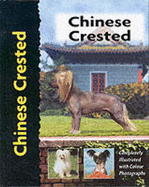 Chinese Crested