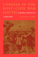Chinese in the Post-Civil War South: A People Without a History