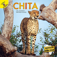 Chita: Cheetah