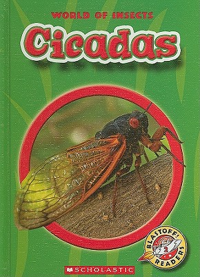 Cicadas - Sexton, Colleen