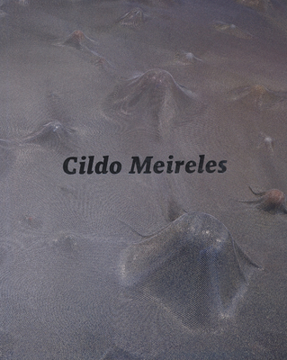 Cildo Meireles - Meireles, Cildo, and Brett, Guy (Text by), and Dos Anjos, Moacir (Text by)