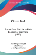 Citizen Bird: Scenes From Bird Life In Plain English For Beginners (1897)