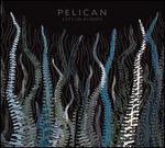 City of Echoes - Pelican