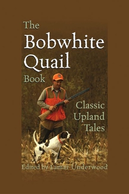 Classic Irish Stories: Timeless Tales from Ireland and Other Green Shores - Quinlin, Michael P (Editor)