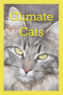 Climate Cats: A Kitten Adventure In The Bay of Fundy