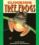 Climbing Tree Frogs