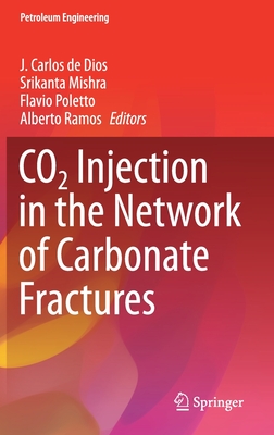 CO2 Injection in the Network of Carbonate Fractures - de Dios, J Carlos (Editor), and Mishra, Srikanta (Editor), and Poletto, Flavio (Editor)