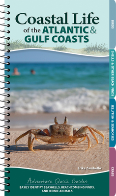 Coastal Life of the Atlantic and Gulf Coasts: Easily Identify Seashells, Beachcombing Finds, and Iconic Animals - Zambello, Erika