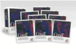 Cobit, 3rd Edition