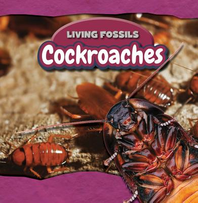 Cockroaches - Machajewski, Sarah