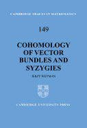 Cohomology of Vector Bundles and Syzygies