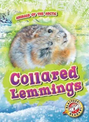 Collared Lemmings - Pettiford, Rebecca