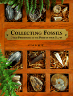 Collecting Fossils: Hold Prehistory in the Palm of Your Hand