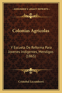 Colonias Agricolas: Y Escuela de Reforma Para Jovenes Indigentes, Mendigos (1865)