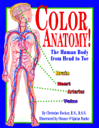 Color Anatomy!