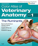 Color Atlas of Veterinary Anatomy, Volume 1: The Ruminants - Ashdown, Raymond R, PhD, and Done, Stanley H, Ba, PhD, Frcvs, and Barnett, Stephen W, Ba, Msc