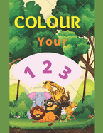 Colour your Numbers Coloring Book: Colour your 123 for Edutainment for both kids and adults.