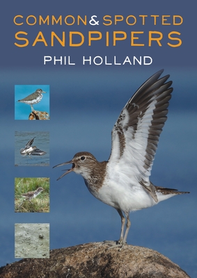 Common and Spotted Sandpipers - Holland, Phil