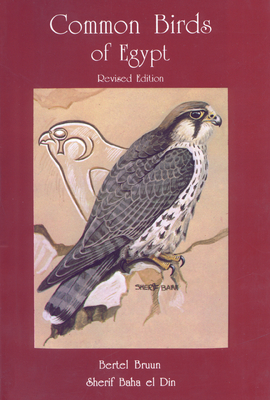 Common Birds of Egypt - Bruun, Bertel