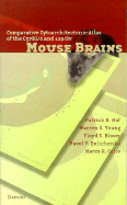 Comparative Cytoarchitectonic Atlas of the C57bl/6 and 129/Sv Mouse Brains with CD ROM