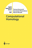 Computational Homology