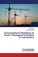 Computational Modeling of Some Tribological Problems in Lubrication