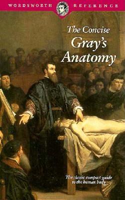 Concise Grays Anatomy - Gray, Jim, and Leonard, C H (Ed ) (Editor)