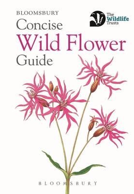 Concise Wild Flower Guide - Bloomsbury