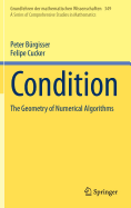 Condition: The Geometry of Numerical Algorithms