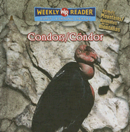 Condors / Cndor